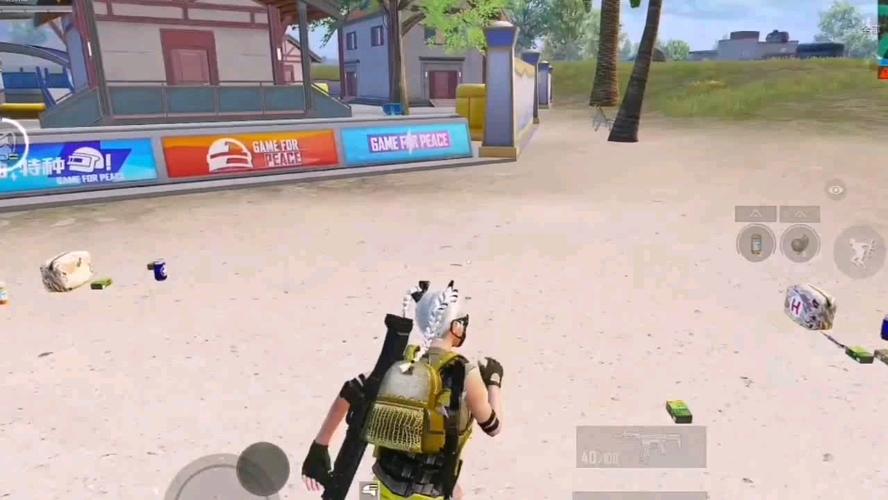 和平精英《北极熊》辅助